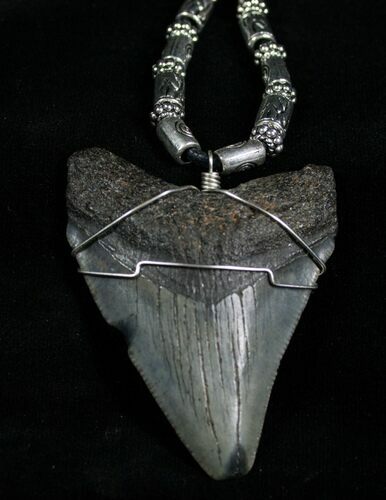 Megalodon Tooth Necklace #4317